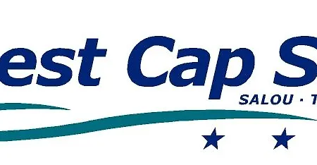 Cap 3*